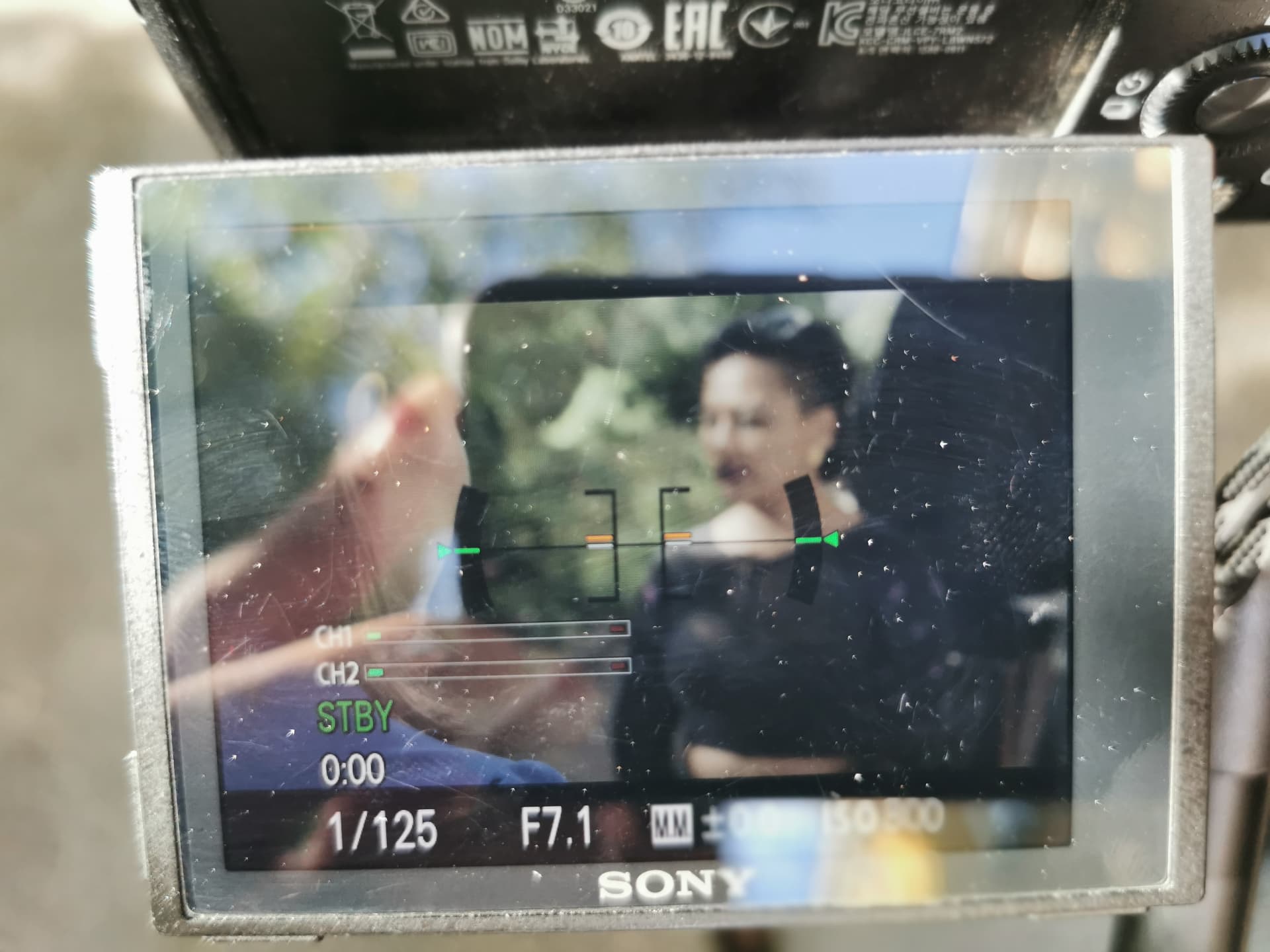 The scene framed on the camera monitor